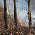 brush fire april 16 2008 017